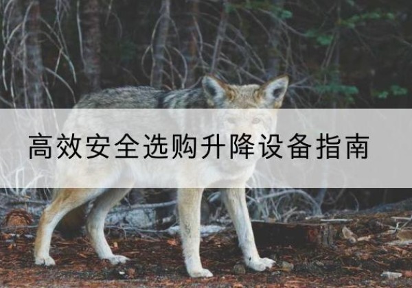 琼山升降货梯厂家推荐-*安全选购升降设备指南