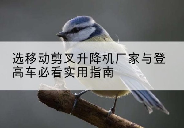 琼山电动升降机厂家-选移动剪叉升降机厂家与登高车必看实用指南
