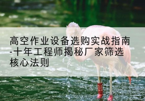琼山剪叉式升降机厂家-高空作业设备选购实战指南-十年工程师揭秘厂家筛选核心法则